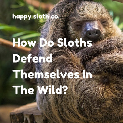 How Do Sloths Defend Themselves In The Wild?