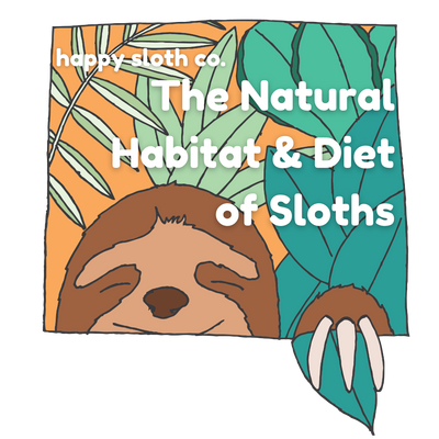 The Natural Habitat & Diet of Sloths